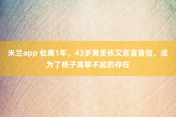 米兰app 仳离1年，43岁黄圣依又官宣喜信，成为了杨子高攀不起的存在